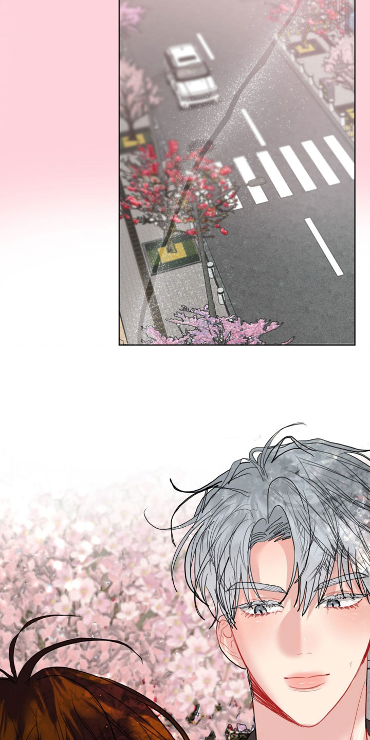 陌生挚爱漫画,第45章：我害怕4图