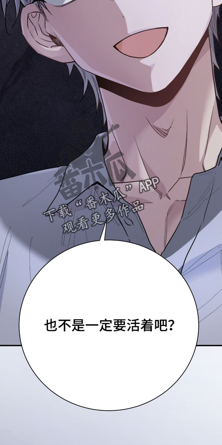 星光与谎言漫画,第65章：可以打赏我们吗2图