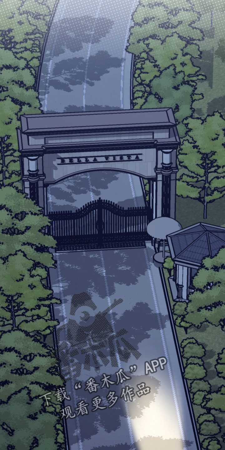 星光与谎言漫画,第64章：我一直都在说是我4图