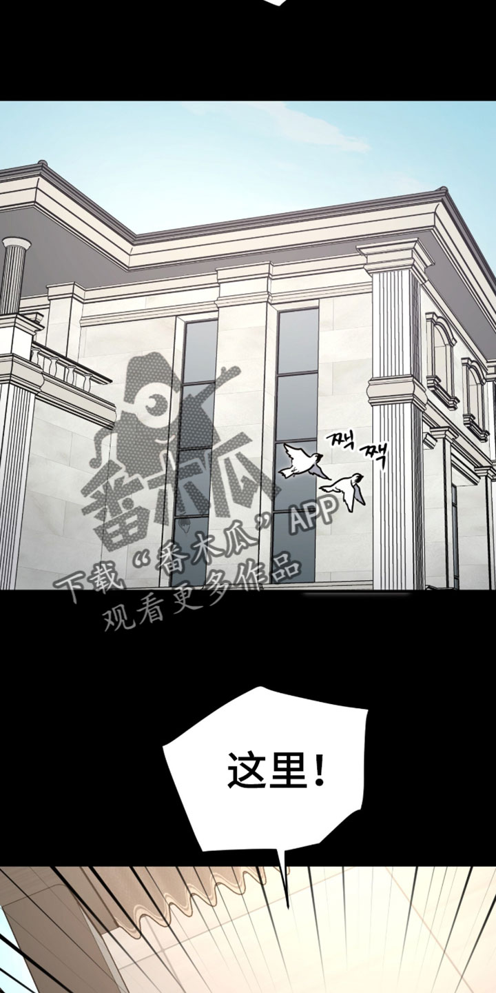 星光与谎言漫画,第70章：被关起来5图
