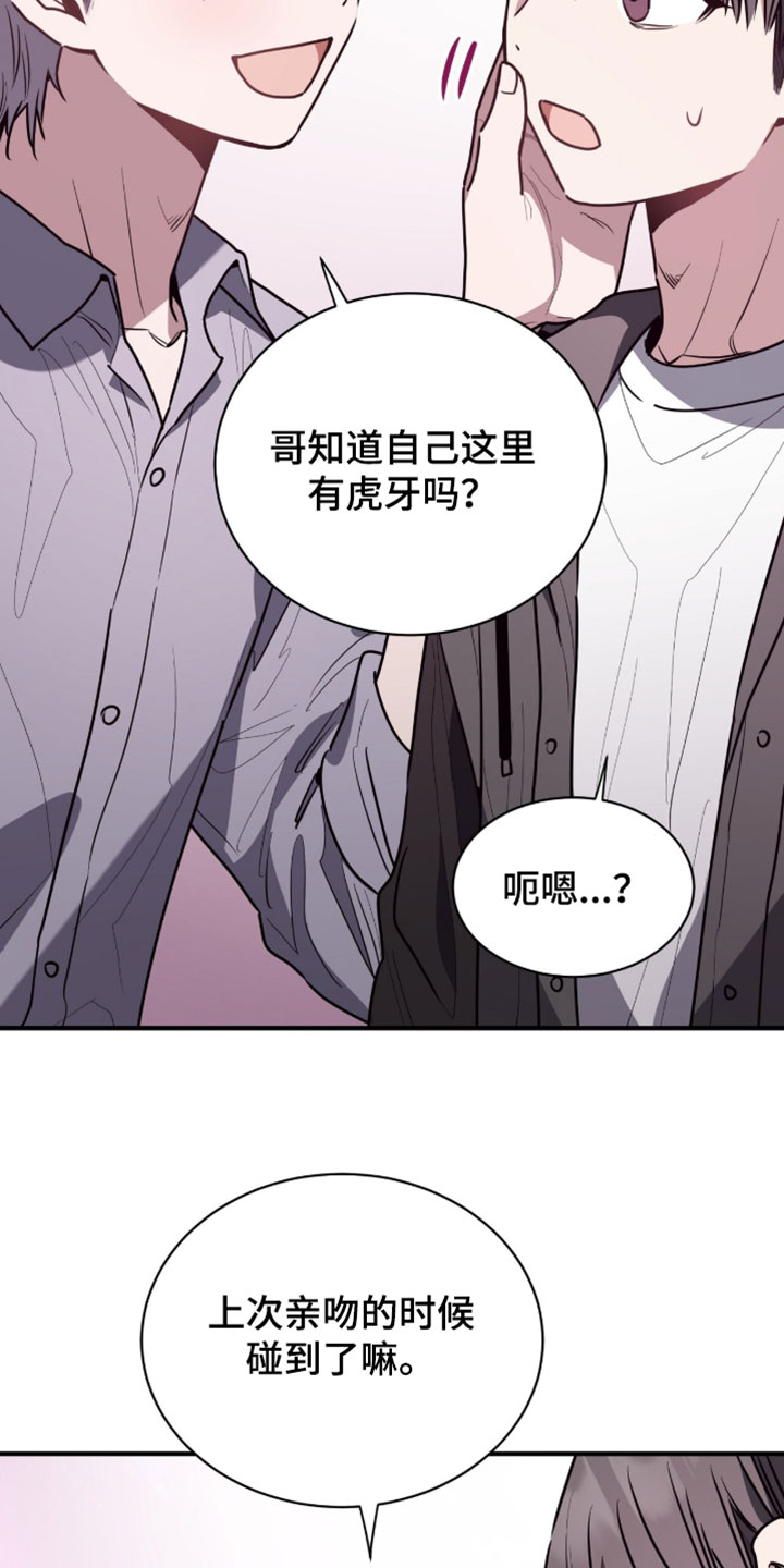 星光与谎言漫画,第66章：蛋糕5图