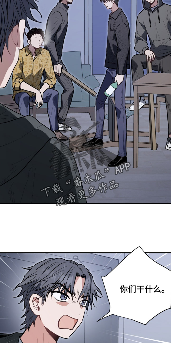 星光与谎言漫画,第65章：可以打赏我们吗2图