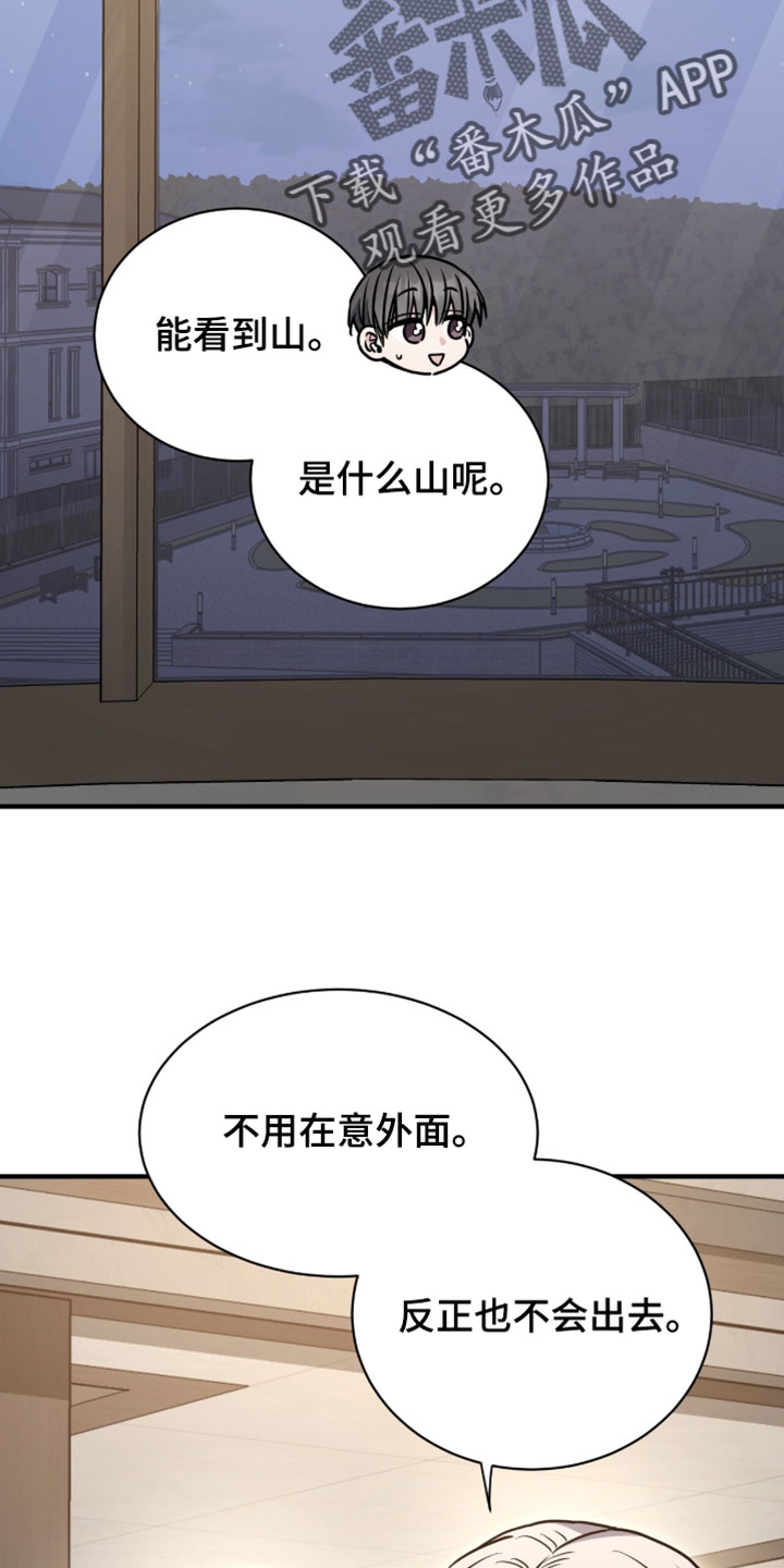 星光与谎言漫画,第67章：我得回家3图