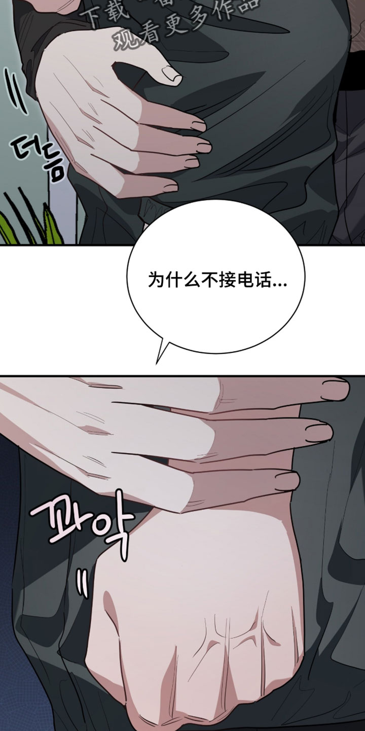 星光与谎言漫画,第68章：不见了5图