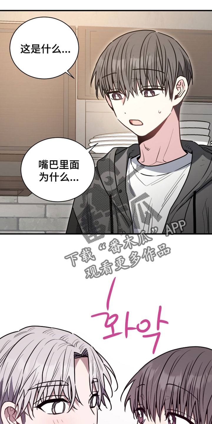 星光与谎言漫画,第66章：蛋糕4图