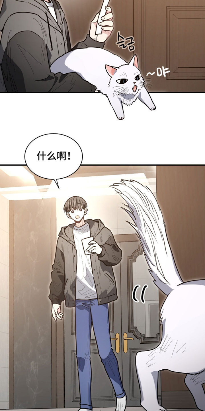 星光与谎言漫画,第64章：我一直都在说是我4图
