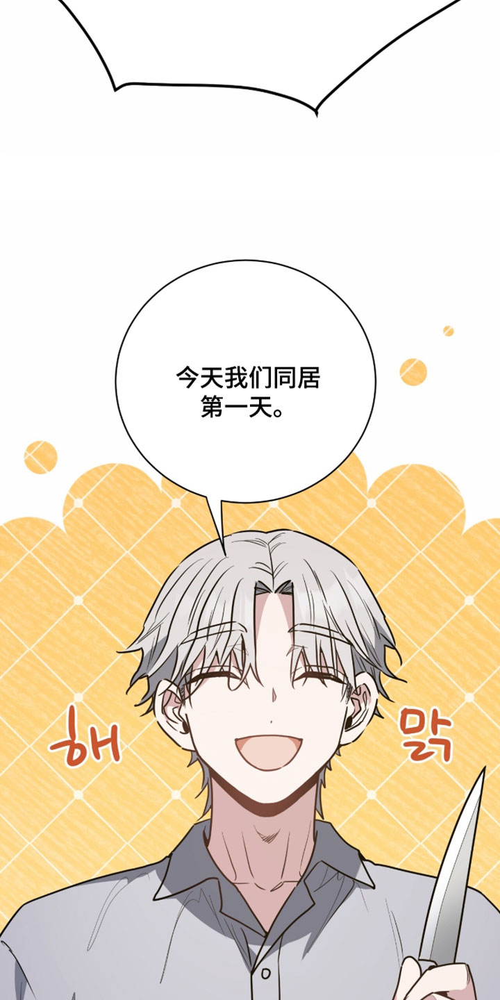 星光与谎言漫画,第66章：蛋糕2图