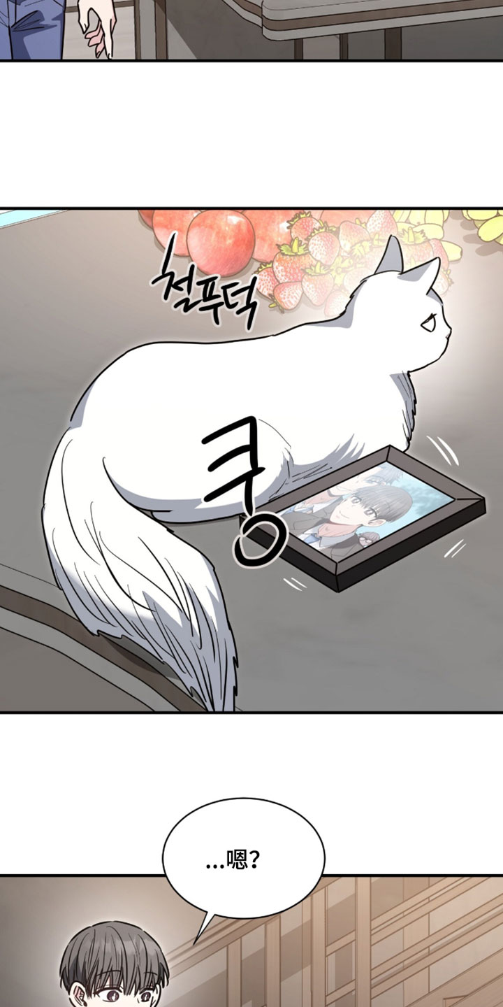 星光与谎言漫画,第71章：学生制服3图