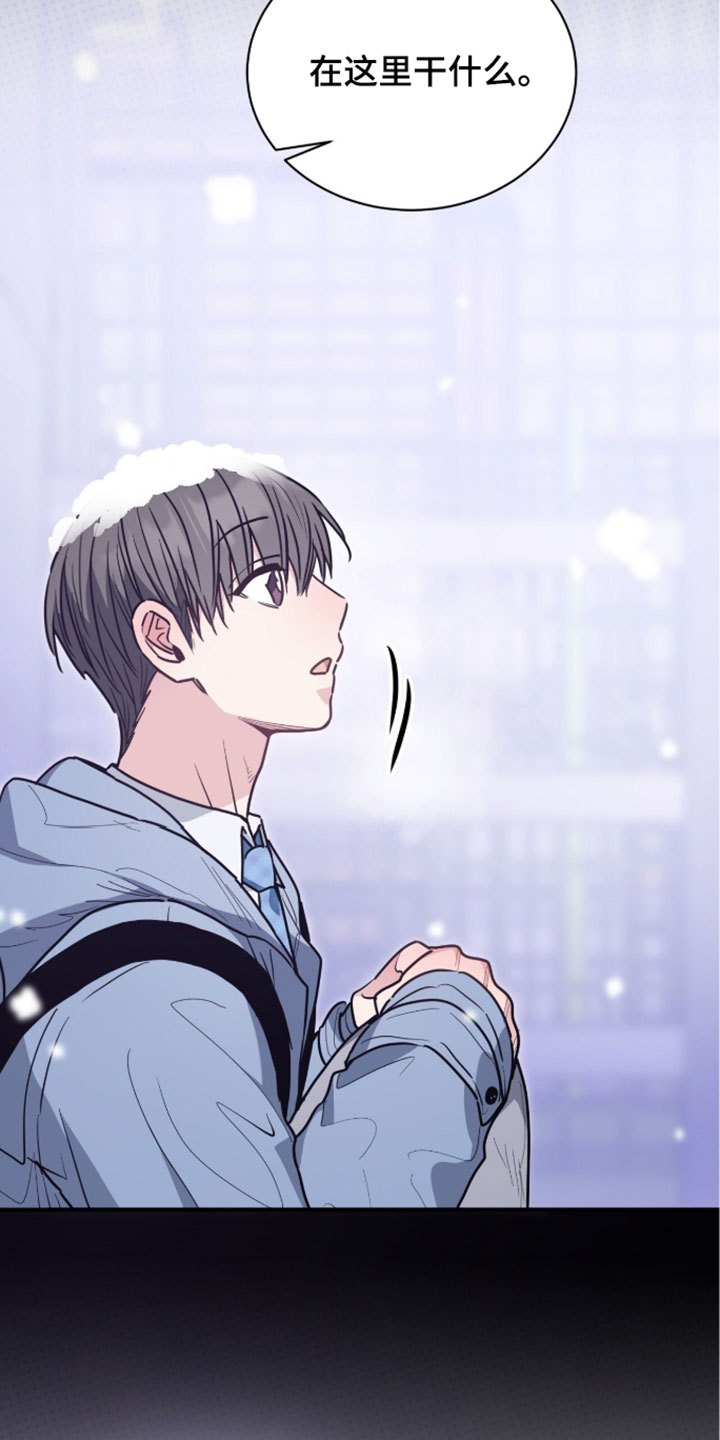 星光与谎言漫画,第73章：记得叫我5图