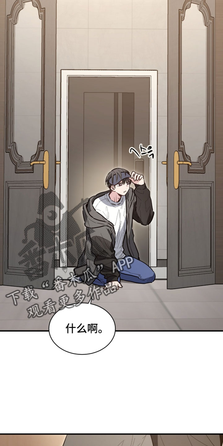 星光与谎言漫画,第64章：我一直都在说是我3图