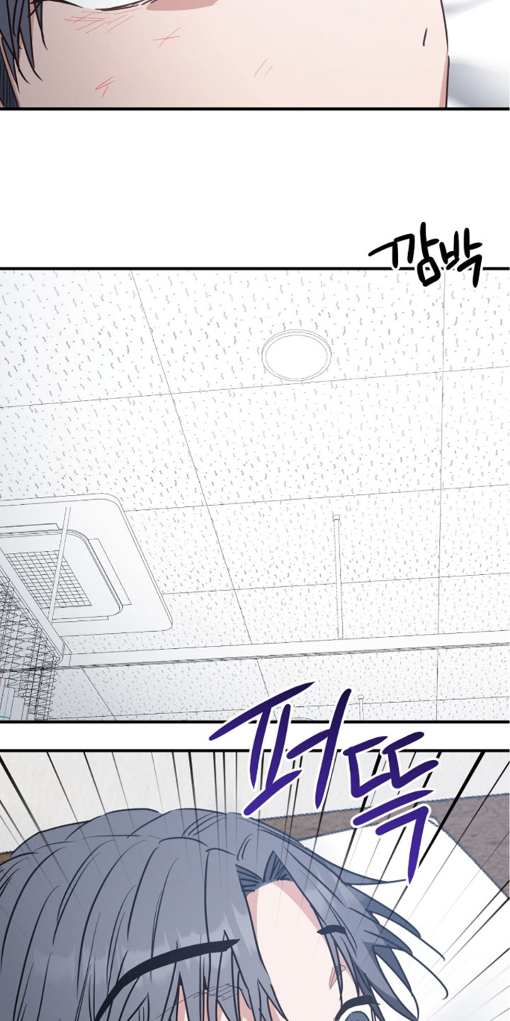 星光与谎言漫画,第73章：记得叫我5图