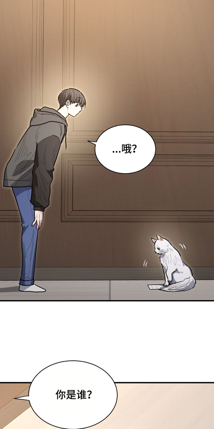 星光与谎言漫画,第64章：我一直都在说是我5图