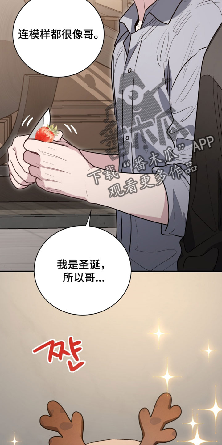 星光与谎言漫画,第66章：蛋糕5图