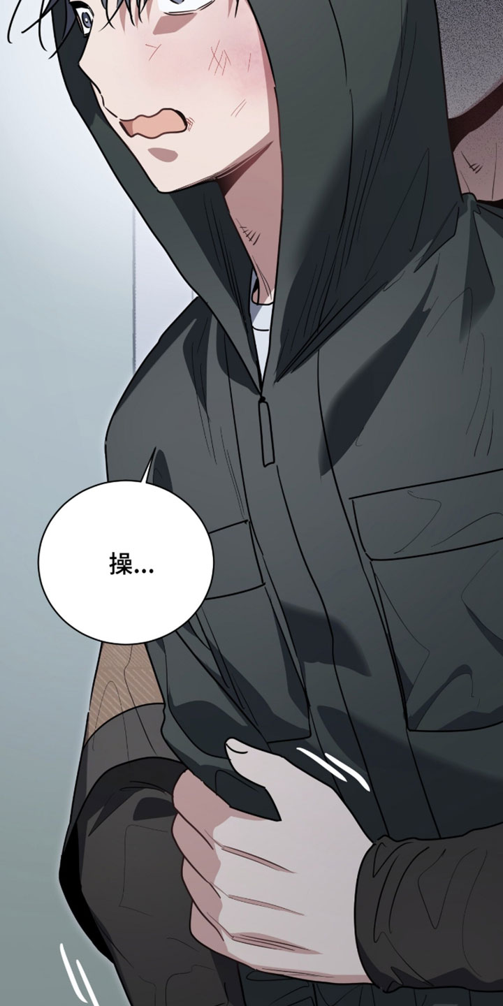 星光与谎言漫画,第68章：不见了2图