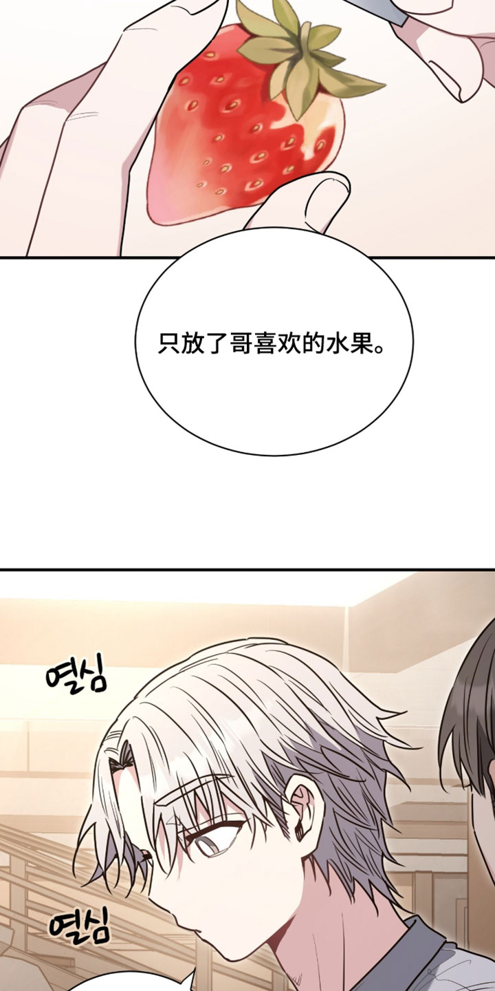 星光与谎言漫画,第66章：蛋糕4图