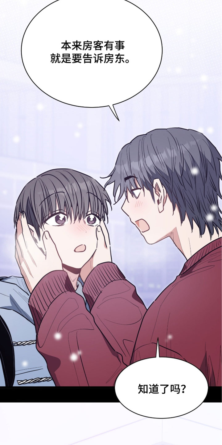 星光与谎言漫画,第73章：记得叫我2图