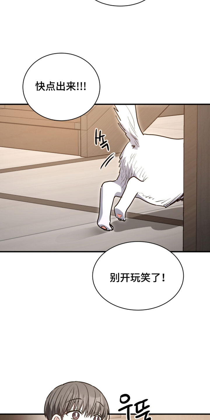 星光与谎言漫画,第64章：我一直都在说是我1图