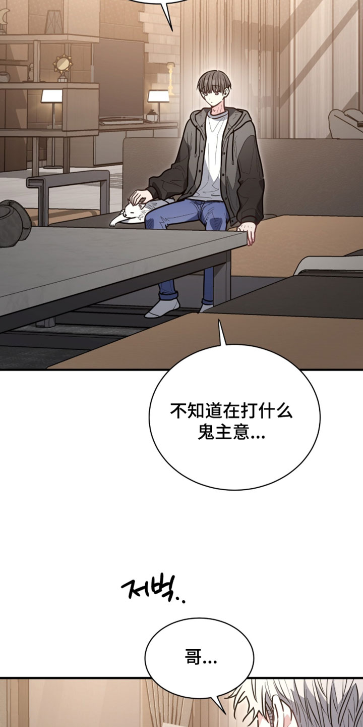 星光与谎言漫画,第66章：蛋糕2图