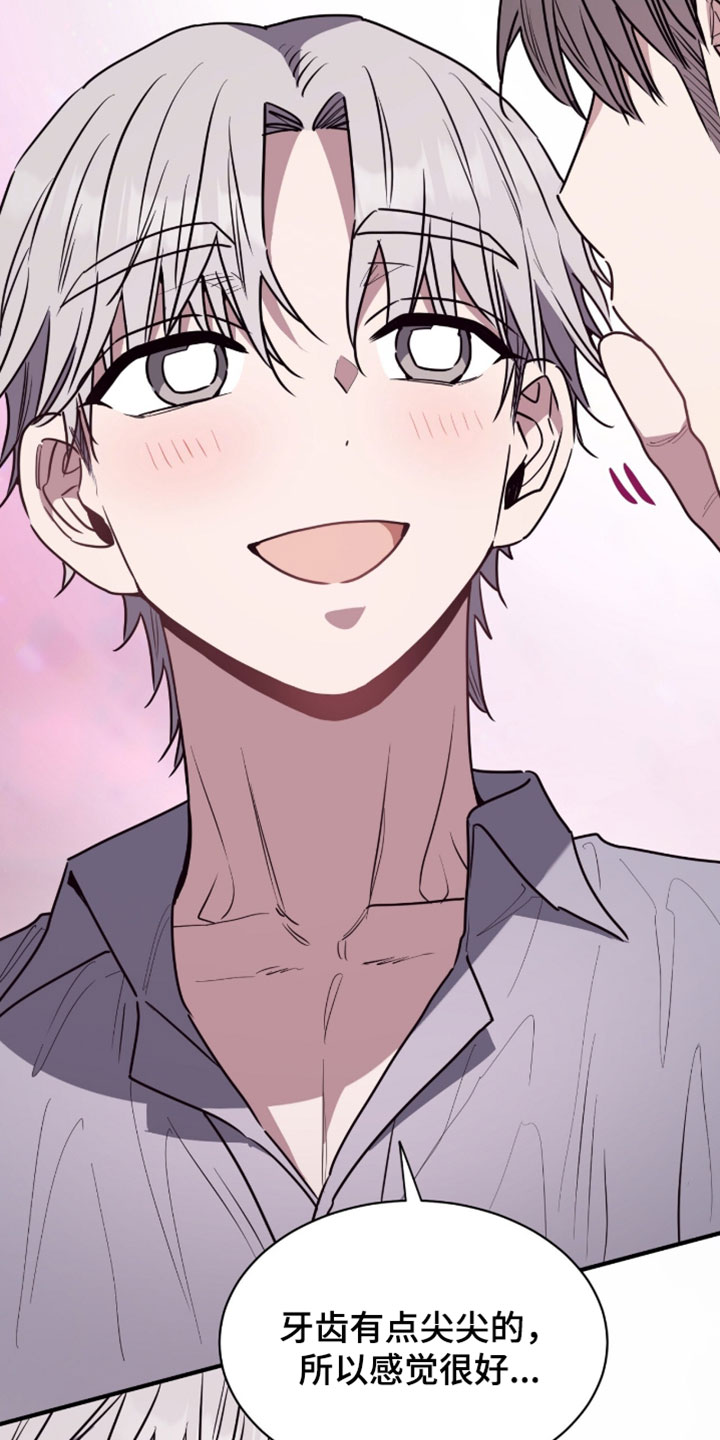 星光与谎言漫画,第66章：蛋糕1图