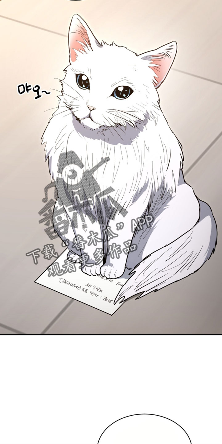 星光与谎言漫画,第64章：我一直都在说是我1图
