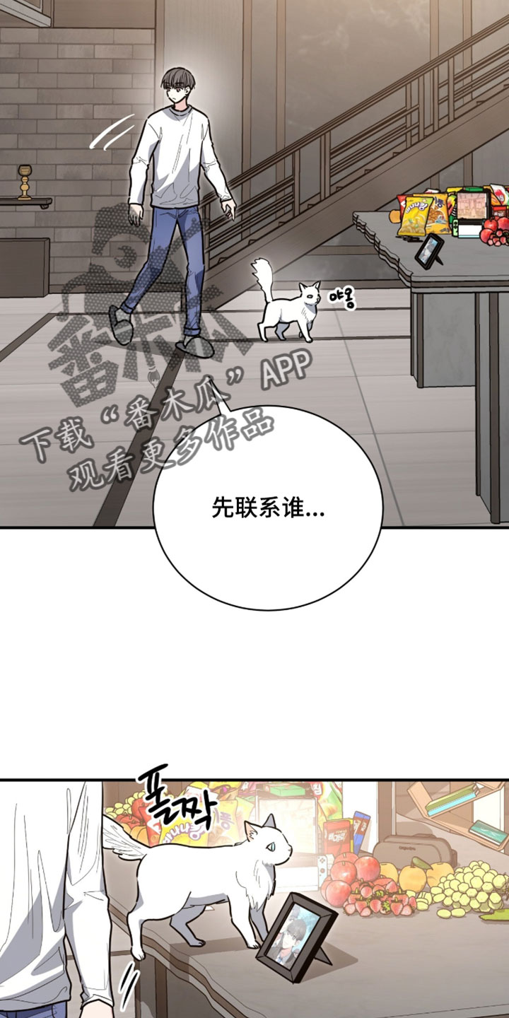 星光与谎言漫画,第71章：学生制服2图