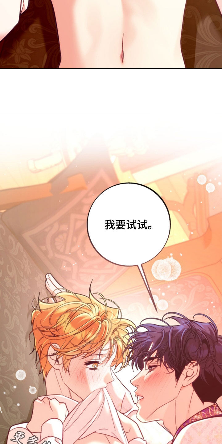 第61章：我要试试0