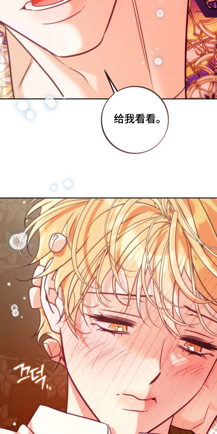 第61章：我要试试1