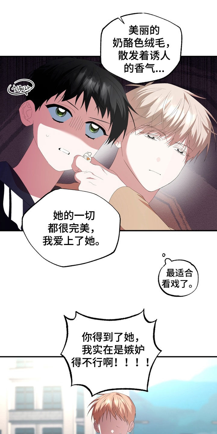 我的老鼠学长漫画,第47章：我爱过1图