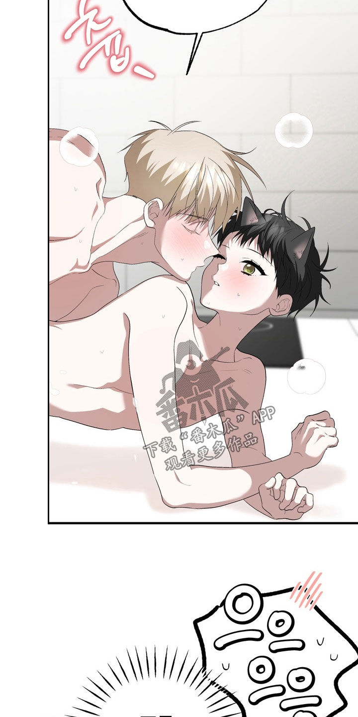 我的老鼠学长漫画,第52章：我也喜欢你2图