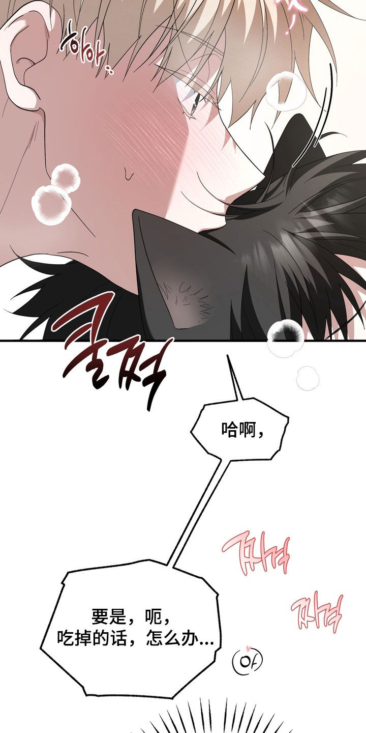 我的老鼠学长漫画,第52章：我也喜欢你2图
