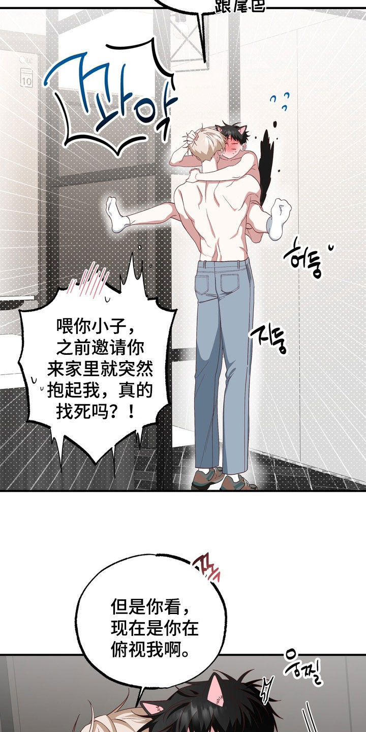 我的老鼠学长漫画,第51章：不要乱动4图