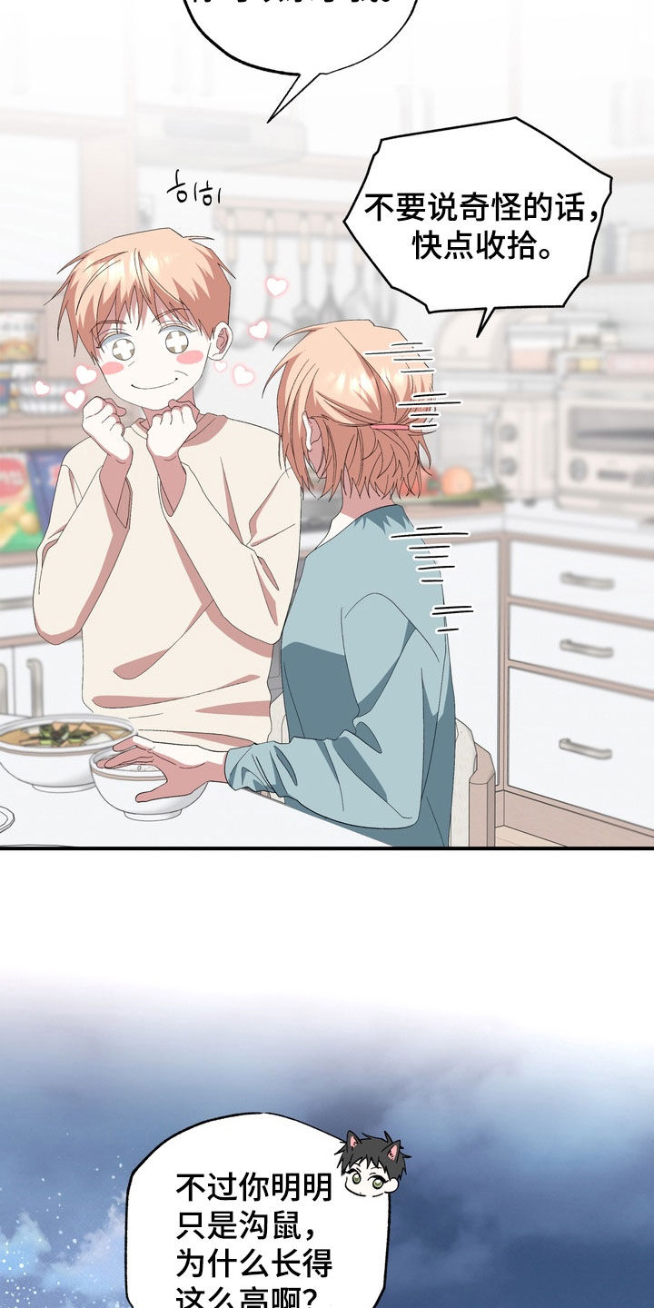 我的老鼠学长作者资料漫画,第48章：真可惜2图