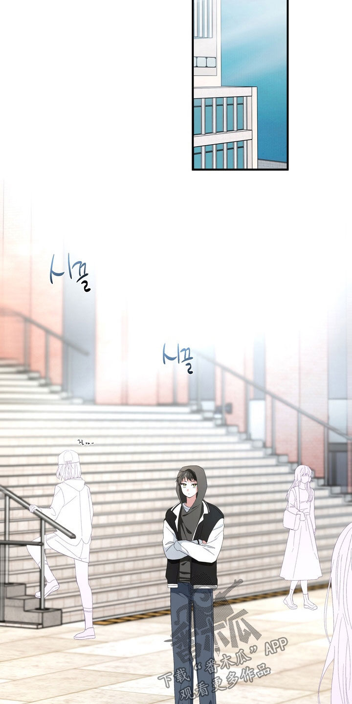 我的老鼠学长漫画,第46章：真想揍他一顿3图