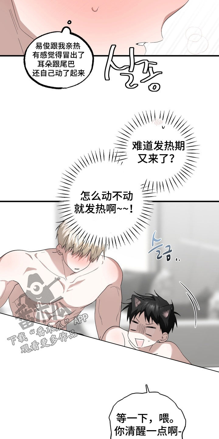 我的老鼠学长漫画,第52章：我也喜欢你3图