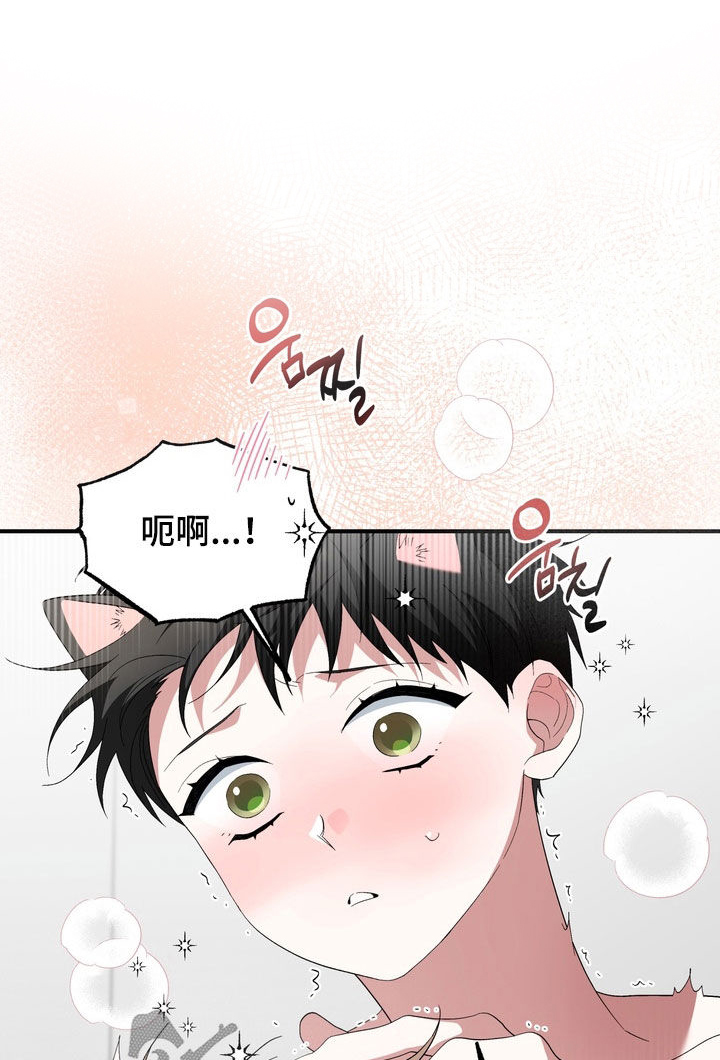 我的老鼠学长漫画,第51章：不要乱动2图