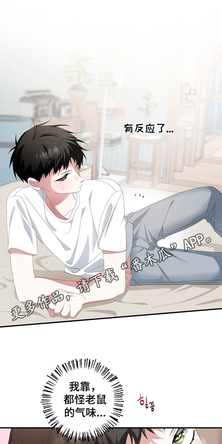 我的老鼠学长漫画,第46章：真想揍他一顿1图