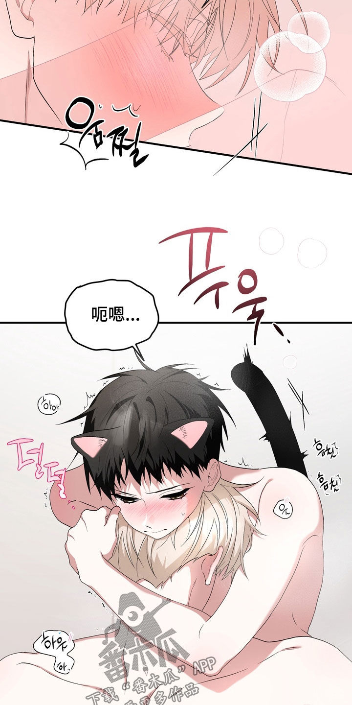 我的老鼠学长漫画,第51章：不要乱动4图