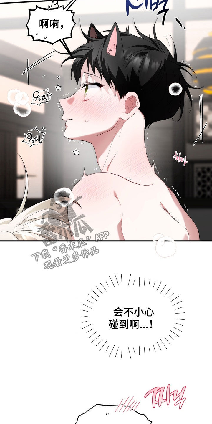 我的老鼠学长漫画,第51章：不要乱动4图