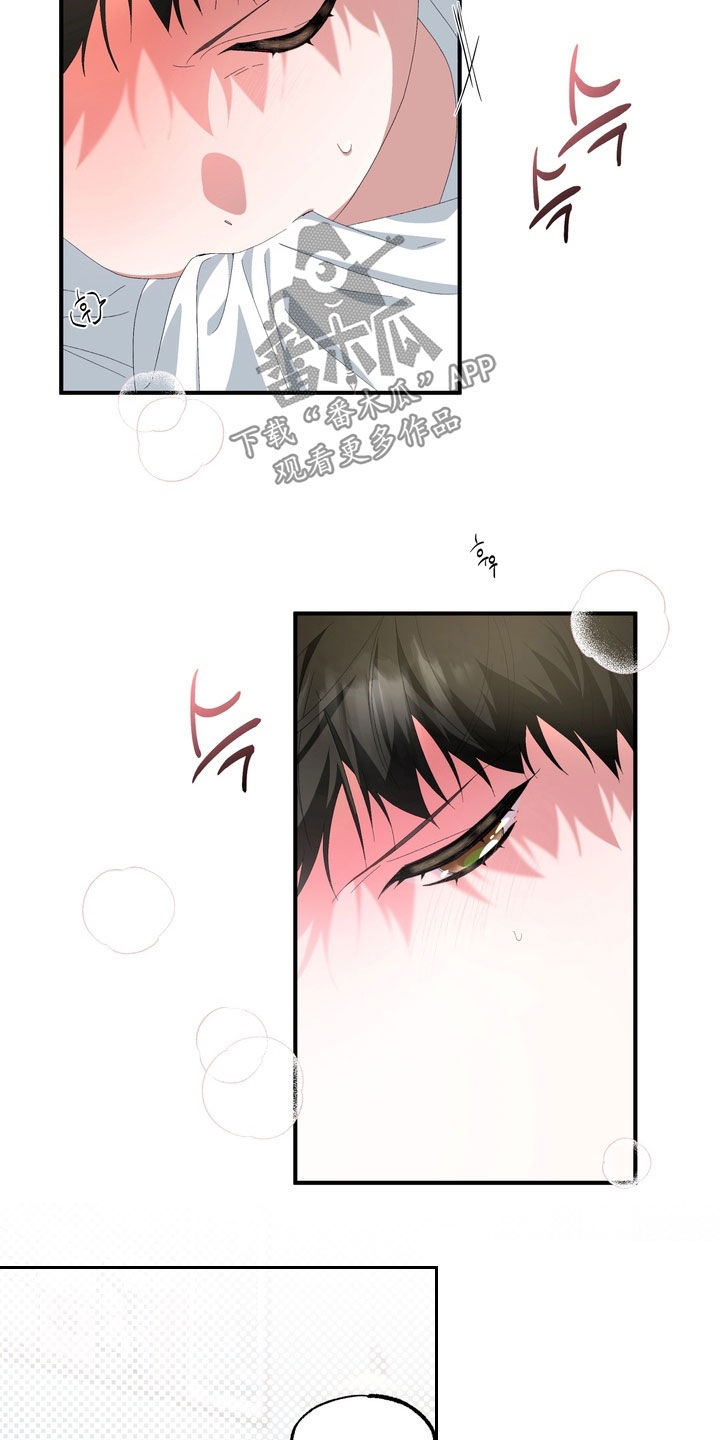 我的老鼠学长漫画,第46章：真想揍他一顿5图