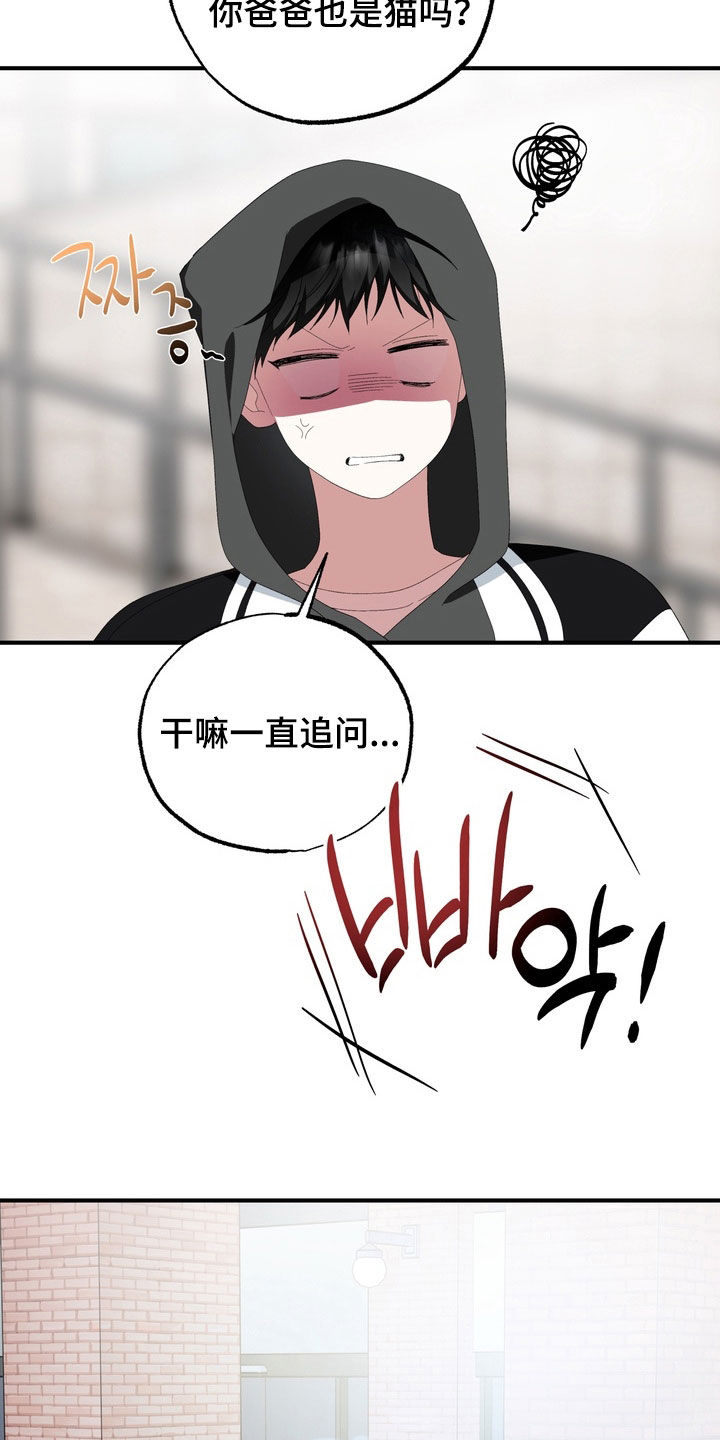 我的老鼠学长漫画,第47章：我爱过2图
