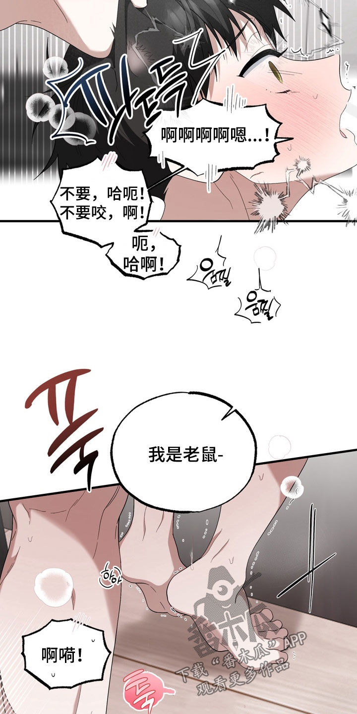 我的老鼠学长漫画,第52章：我也喜欢你5图