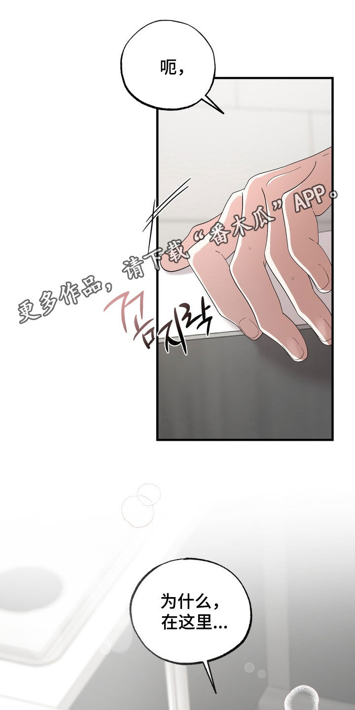 我的老鼠学长漫画,第52章：我也喜欢你1图