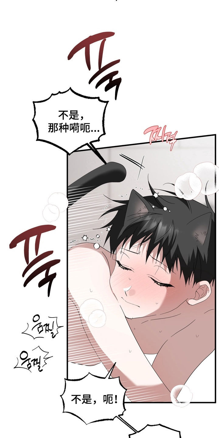 我的老鼠学长漫画,第52章：我也喜欢你4图