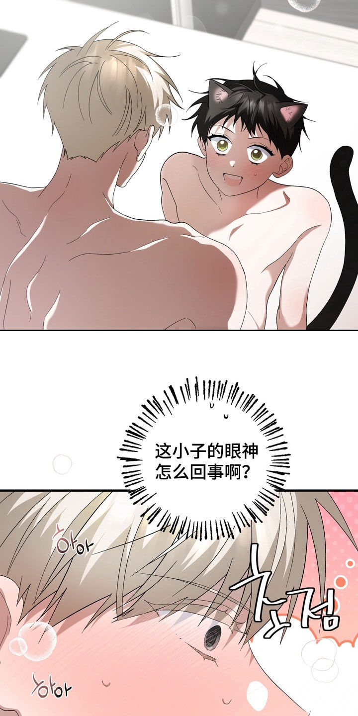 我的老鼠学长漫画,第52章：我也喜欢你2图