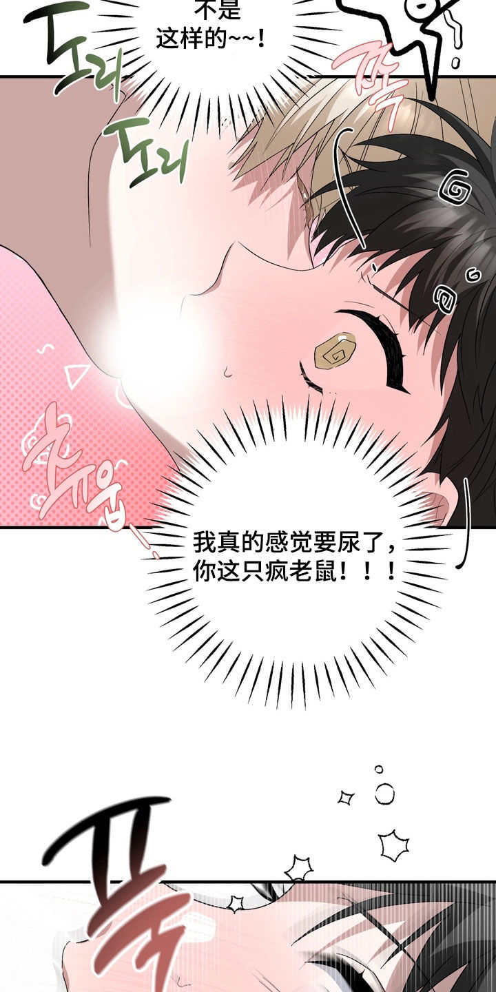 我的老鼠学长漫画,第52章：我也喜欢你3图