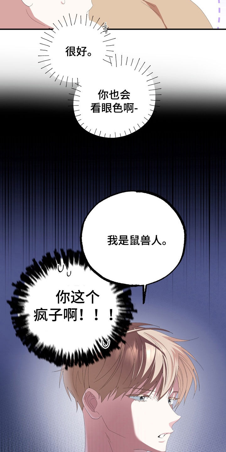 我的老鼠学长漫画,第48章：真可惜1图