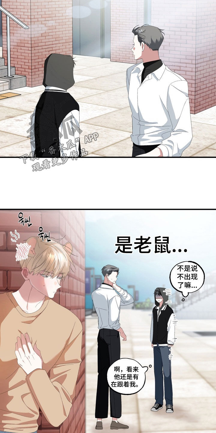 我的老鼠学长漫画,第47章：我爱过3图