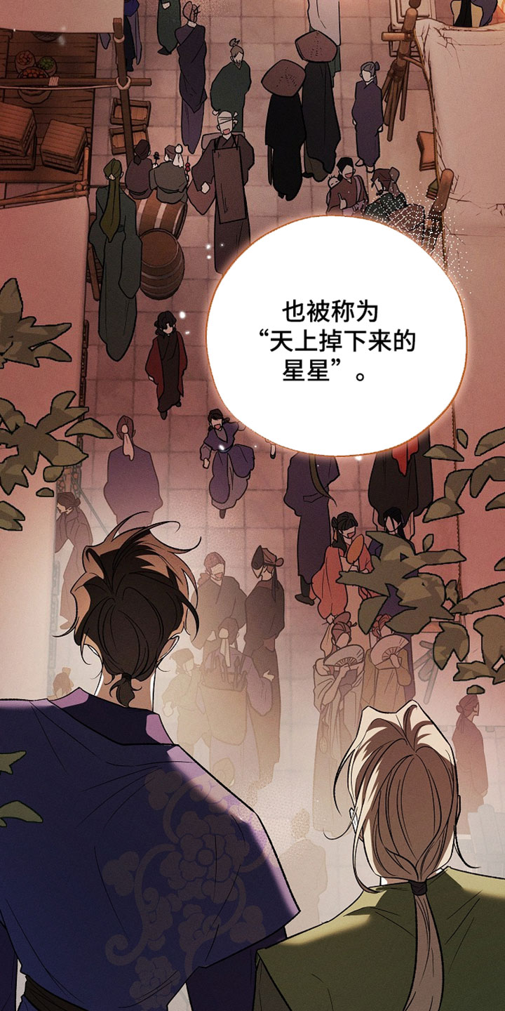 异世界奴隶漫画,第61章：天上掉下来的星星5图