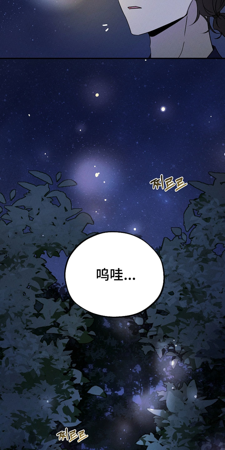 异世界奴隶漫画,第61章：天上掉下来的星星4图