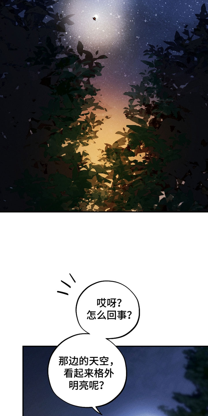异世界奴隶漫画,第61章：天上掉下来的星星4图